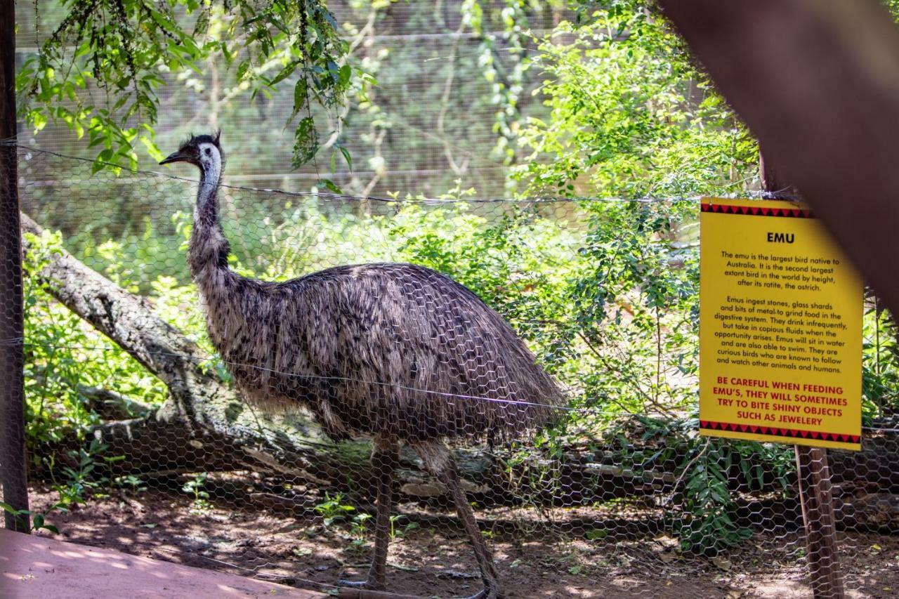Gooderson Dumazulu Lodge Hluhluwe Eksteriør bilde